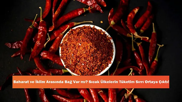 Baharat ve İklim Arasında Bağ Var mı? Sıcak Ülkelerin Tüketim Sırrı Ortaya Çıktı!