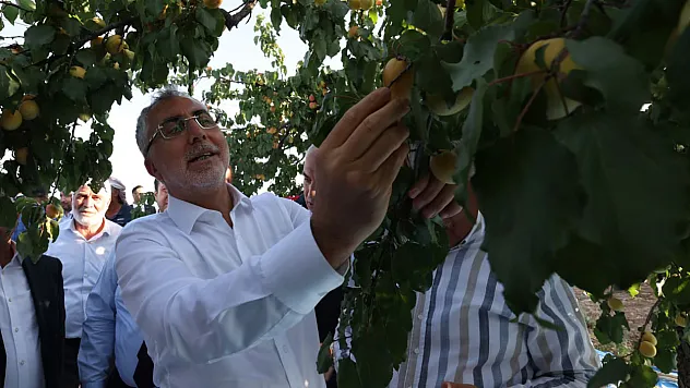 Bakan Işıkhan Malatya'da Kayısı Hasadında Tarım İşçileri ile Buluştu
