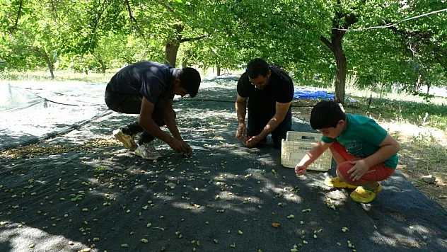 Baraj çevresi umut oldu!