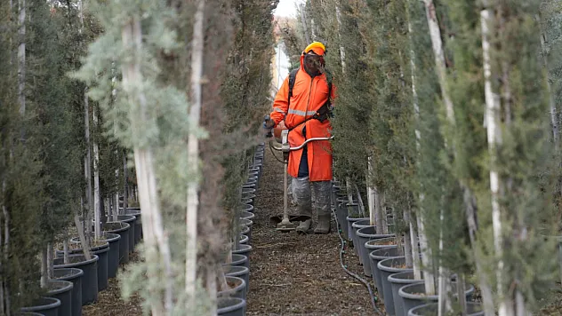 Battalgazi'de Çarşıbaşı Rekreasyon Alanı Hızla Yükseliyor