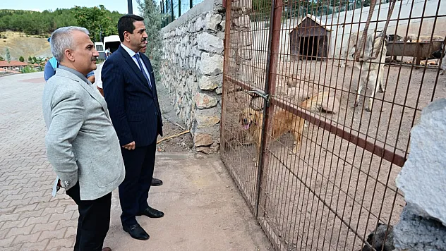 Battalgazi'de Sahipsiz Hayvan Kalmadı! 850 Kapasiteli Tesiste Yeni Dönem