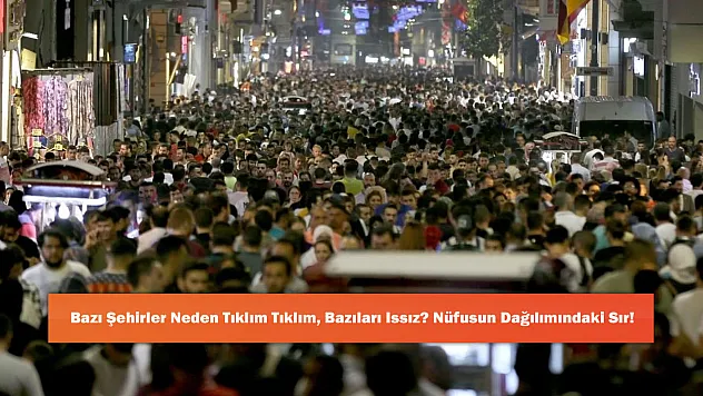 Bazı Şehirler Neden Tıklım Tıklım, Bazıları Issız? Nüfusun Dağılımındaki Sır!