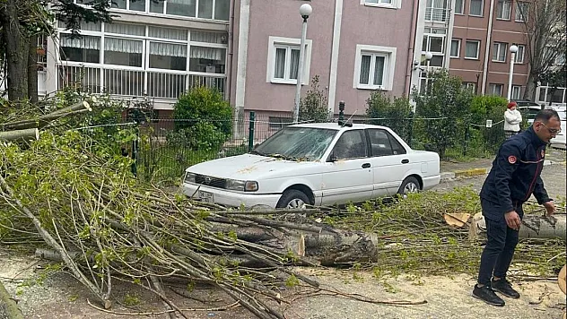 Beylikdüzü'nde Korkutan Anlar! Dev Ağaç Rüzgarın Şiddetiyle Aracın Üstüne Çöktü