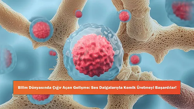 Bilim Dünyasında Çığır Açan Gelişme: Ses Dalgalarıyla Kemik Üretmeyi Başardılar!