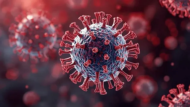 Bilim Dünyasında Yeni Tartışma Üç Günlük Açlık Bağışıklığı Tamamen Yenileyebilir mi?