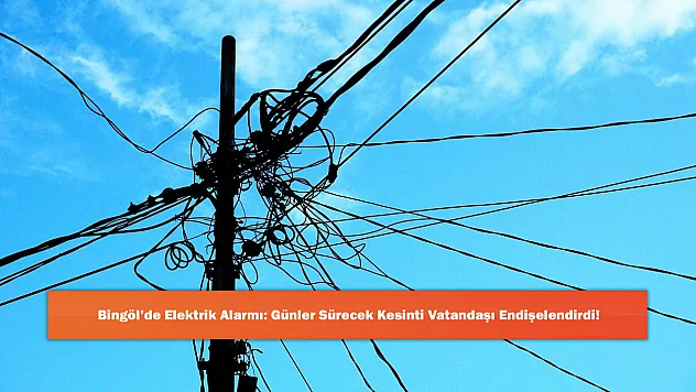 Bingöl'de Elektrik Alarmı: Günler Sürecek Kesinti Vatandaşı Endişelendirdi!