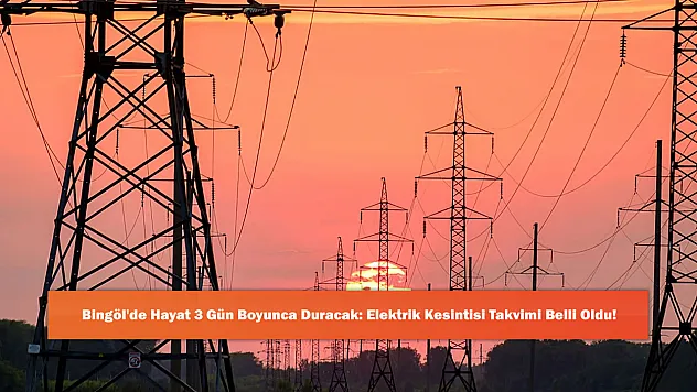 Bingöl'de Hayat 3 Gün Boyunca Duracak: Elektrik Kesintisi Takvimi Belli Oldu!