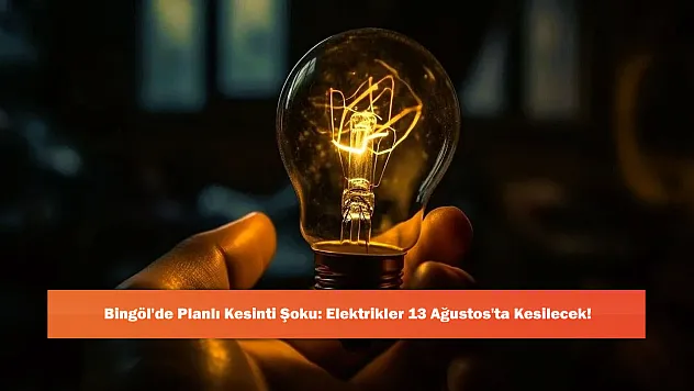 Bingöl'de Planlı Kesinti Şoku: Elektrikler 13 Ağustos'ta Kesilecek!