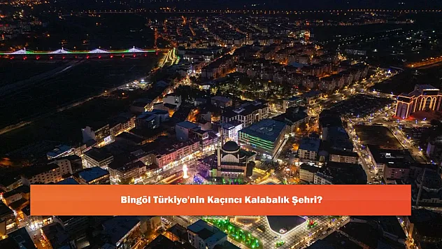 Bingöl Türkiye'nin Kaçıncı Kalabalık Şehri?