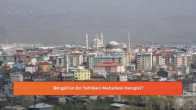 Bingöl'ün En Tehlikeli Mahallesi Hangisi?