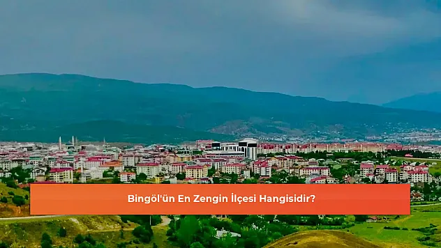 Bingöl'ün En Zengin İlçesi Hangisidir?