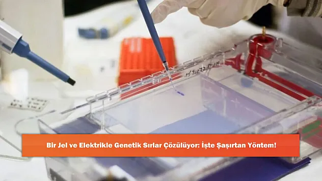 Bir Jel ve Elektrikle Genetik Sırlar Çözülüyor: İşte Şaşırtan Yöntem!