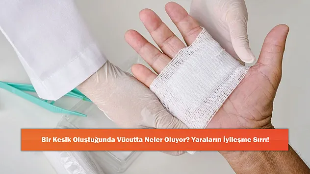 Bir Kesik Oluştuğunda Vücutta Neler Oluyor? Yaraların İyileşme Sırrı!