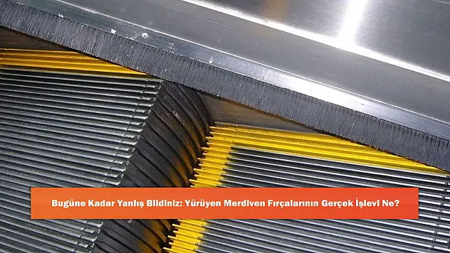 Bugüne Kadar Yanlış Bildiniz: Yürüyen Merdiven Fırçalarının Gerçek İşlevi Ne?