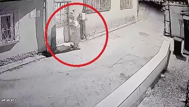 Bursa'da Palyaço Paniği! Korku dolu anlar yaşandı!