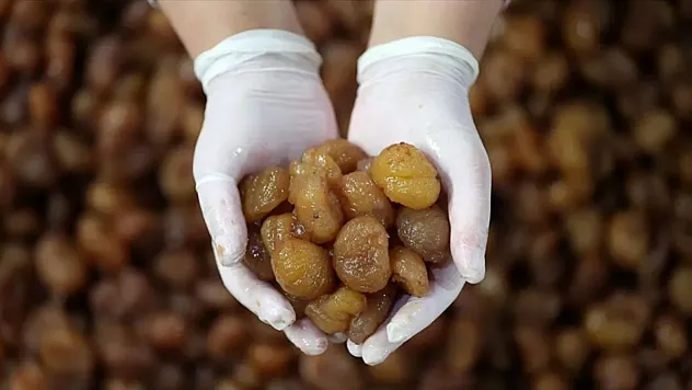 Bursa Kestane Şekeri ve İpsala Pirinci AB Coğrafi İşaret Aldı