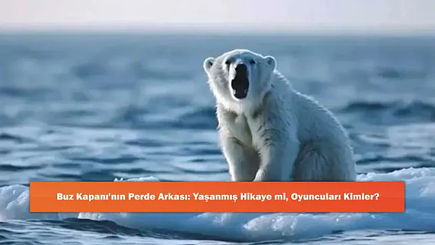 Buz Kapanı'nın Perde Arkası: Yaşanmış Hikaye mi, Oyuncuları Kimler?