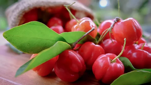 C Vitamini Şampiyonu Portakal Değil: Asıl Güçlü Kaynak Kuşburnu ve Acerola