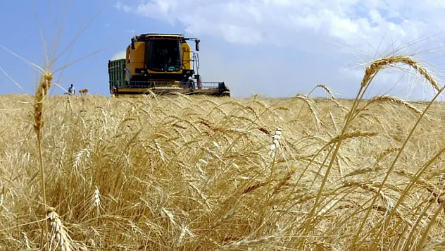 Çiftçilerin Beklediği Ödeme Açıklandı! Hesaplara 195,6 Milyon Lira Yatacak