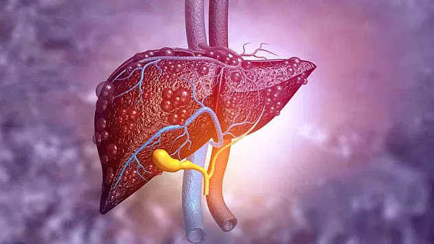 Çocuklarda Karaciğer Yağlanması Alarmı: Enerji İçecekleri ve Fast Food Büyük Tehdit
