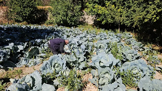 Darende'de Geleneksel Üretim Yüzleri Güldürdü