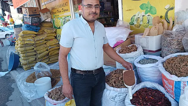 Darende'de Sumak Hasadı Başladı