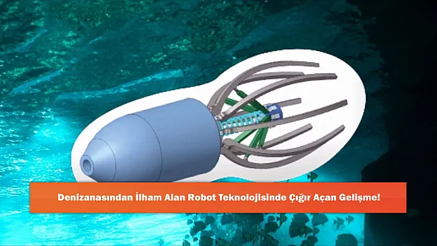 Denizanasından İlham Alan Robot Teknolojisinde Çığır Açan Gelişme!