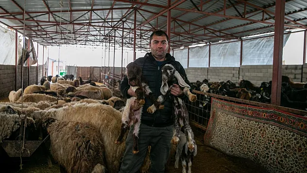 Depremde Sürüsünü Kaybeden Besici, Devlet Desteğiyle Yeniden Üretime Başladı