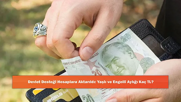 Devlet Desteği Hesaplara Aktarıldı: Yaşlı ve Engelli Aylığı Kaç TL?
