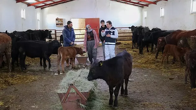 Devlet Desteğiyle Besiciliğe Başladı, 5 Ayda Hayvan Sayısını İkiye Katladı