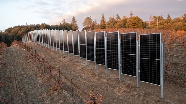 Dikey Güneş Panelleriyle Tarımda ve Enerjide Yeni Dönem Başlıyor