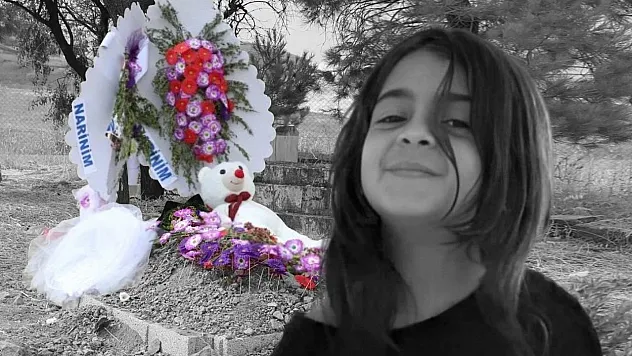 Diyarbakır'da Küçük Bir Kızın Sessiz Çığlığı: Narin Güran Cinayetinin Üzerinden Bir Yıl Geçti