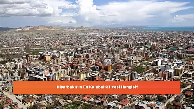 Diyarbakır'ın En Kalabalık İlçesi Hangisi?