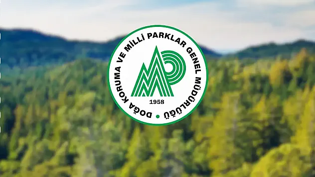 DKMP Genel Müdürlüğü Personel Alımı Başvuruları Başladı