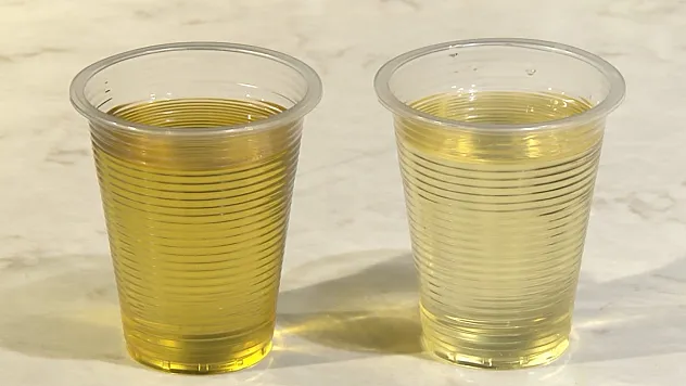 Doğal Zeytinyağı Nasıl Ayırt Edilir? Sahte Ürünü Ayıran Yöntemler