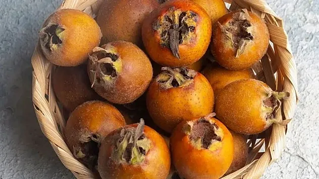 Doğanın Mucizevi Kış İlacı Muşmula ve Sağlık Üzerindeki Muazzam Etkileri