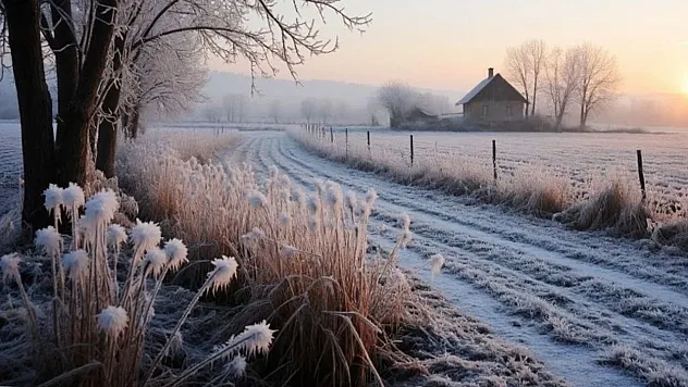 Doğanın Soğuk Kış Gecelerinde Sergilediği Beyaz Kristal Sanatı: Kırağı Nedir?