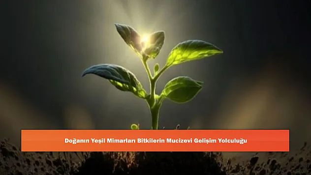 Doğanın Yeşil Mimarları Bitkilerin Mucizevi Gelişim Yolculuğu