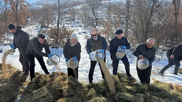 Doğanşehir'de Yaban Hayvanlarına Kış Desteği