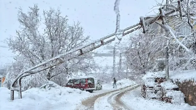Doğanşehir'de Yoğun Kar Yağışı! Direk Yola Devrildi