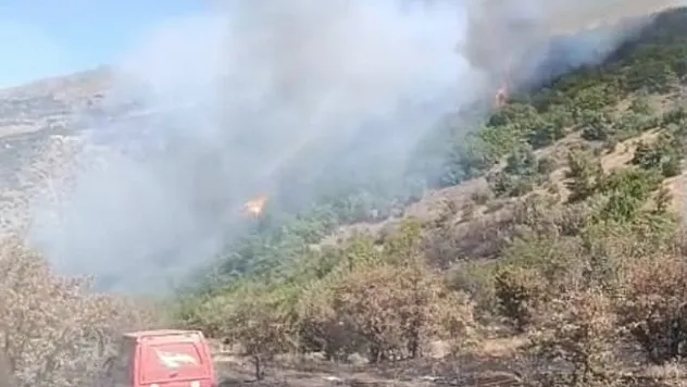 Doğanyol'da Orman Yangını Kontrol Altına Alındı