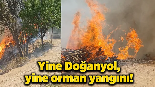 Doğanyol'da orman yangını! Yerleşim yerlerine yaklaştı!