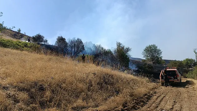 Doğanyol'daki Orman Yangını Kontrol Altına Alındı