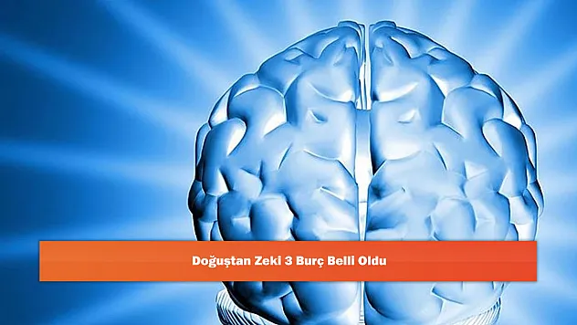 Doğuştan Zeki 3 Burç Belli Oldu