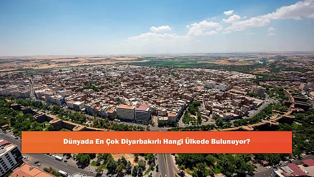 Dünyada En Çok Diyarbakırlı Hangi Ülkede Bulunuyor?