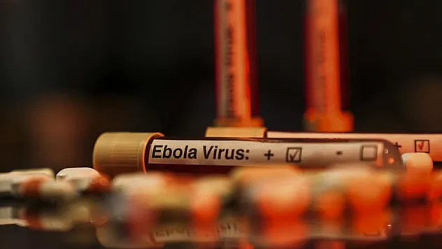 Ebola Salgını Kongo'da Derin Krize Dönüşüyor!