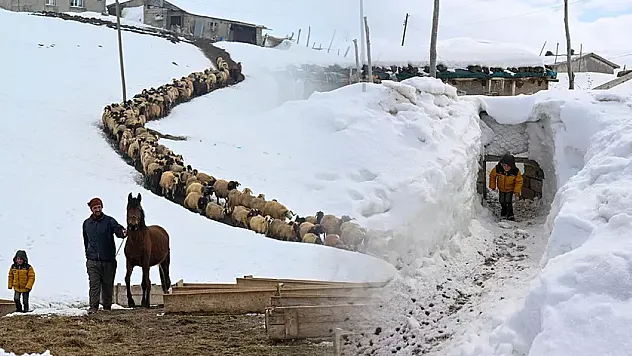 Eksi 30 Derecede Tek Başına: 350 Hayvan İçin Köyü Terk Etmeyen Çiftin Hikayesi