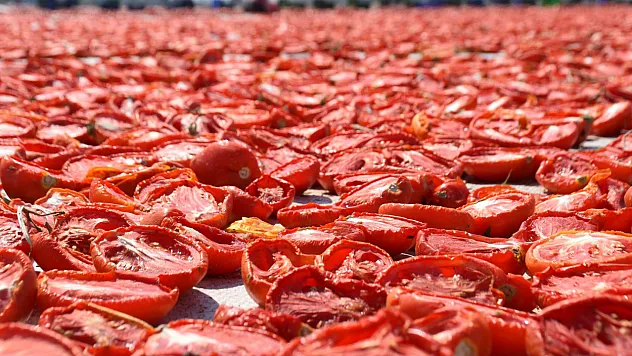 Elazığ'ın Domatesi Dünya Yolunda: Kilosu 4 Euroya Alıcı Buluyor