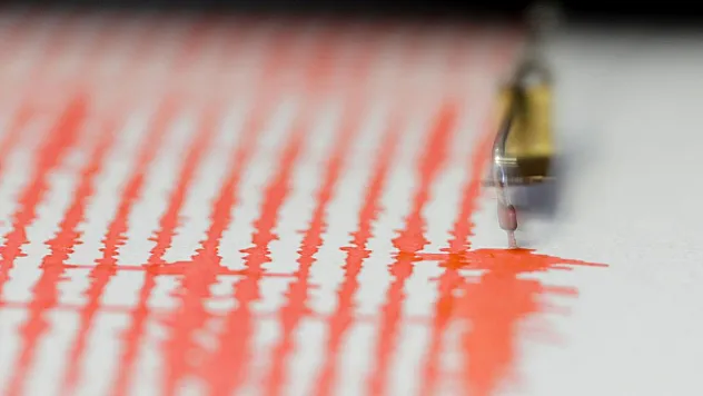 Endonezya'da 5,8 Büyüklüğünde Deprem: 29 Yaralı