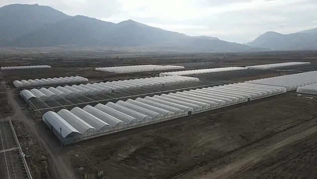 Erzincan'da Bölgenin En Büyük Toplu Sera Alanı Kuruluyor